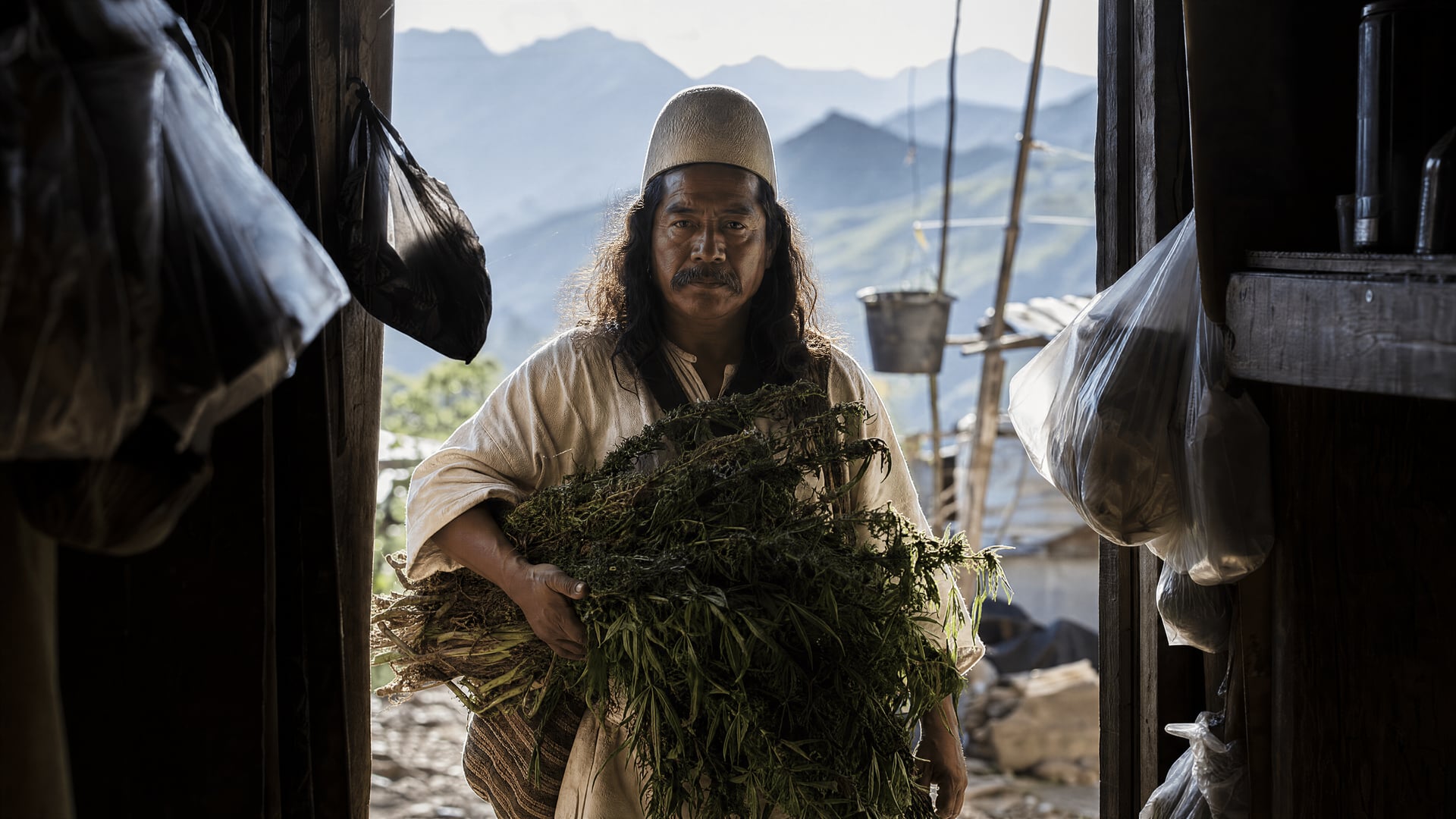 Sierra Nevada agricultural slopes near Santa Marta, Colombia, photographed for a documentary on the marimbera bonanza